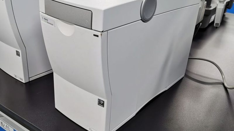 分子克隆中的得力助手：高保真聚合酶的选择与考量**