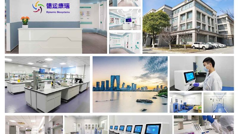 DNA引物合成：成本背后的考量因素**