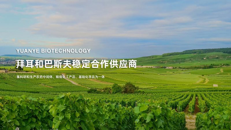 广州PCR检测医院如何选择？关键点解析**