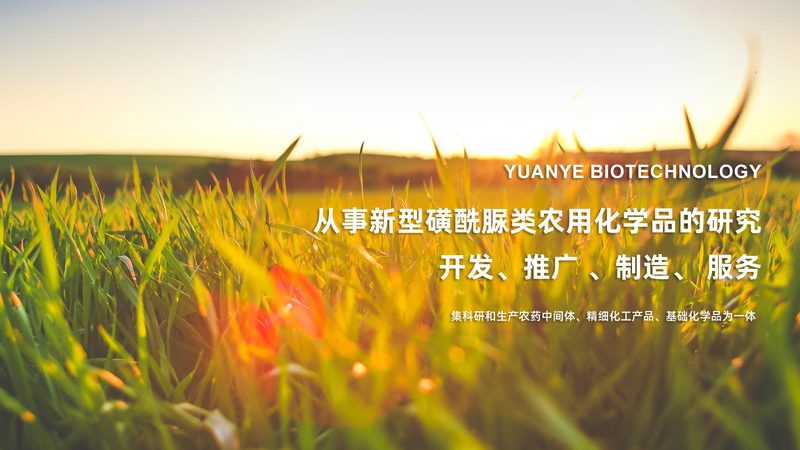 荧光定量PCR试剂盒：精准检测的利器，如何选择合适的广州产品？**