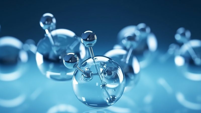 DNA连接酶：揭秘其工作原理与选择标准