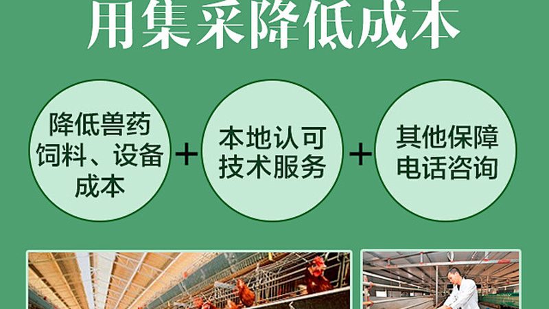 广州核酸纯化试剂盒：揭秘其背后的技术奥秘**