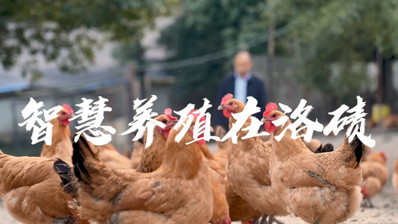 揭秘上海细胞工厂定制公司的核心竞争力