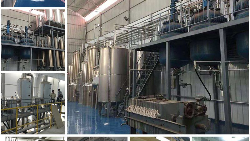 酶制剂国家标准型号分类解析：解码生物工程的核心**