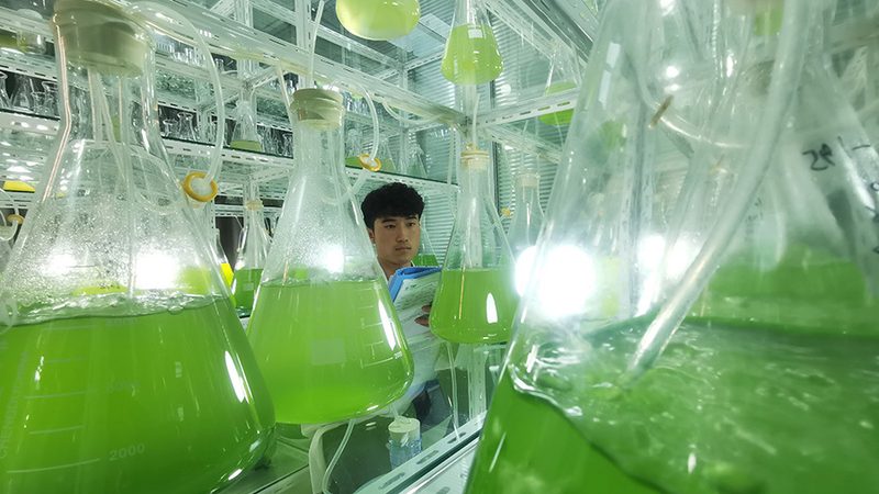 生物制品GMP认证注意事项